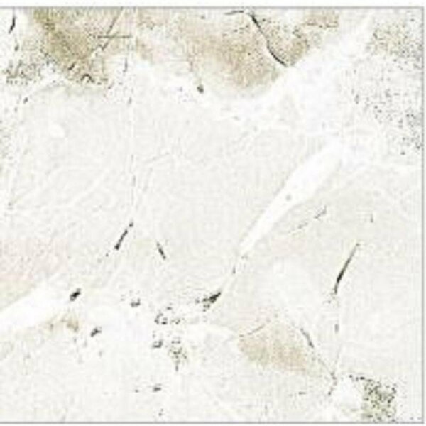 Con-Tact Brand Contact 3 Yard Marble Coffee Adhesive Liner 03-771-12